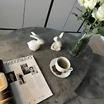 Apartament Modern Elegance In Historical Center Trewir