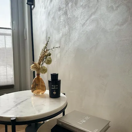Modern Elegance In Historical Center Apartment Trier