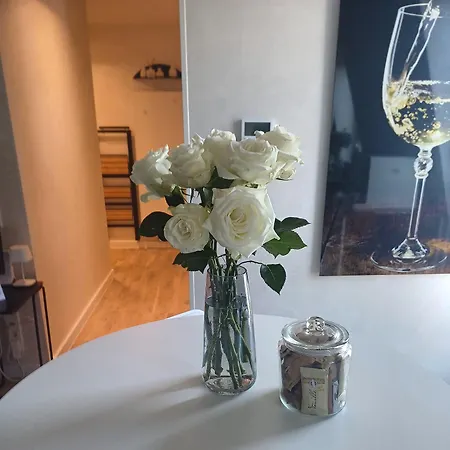 Modern Elegance In Historical Center Apartmán Trevír