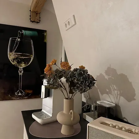 Modern Elegance In Historical Center Apartment