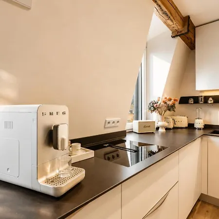 Modern Elegance In Historical Center Trewir