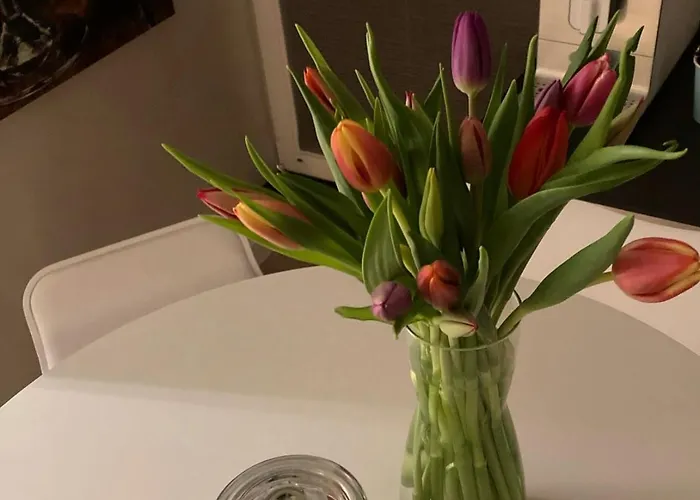 Modern Elegance In Historical Center