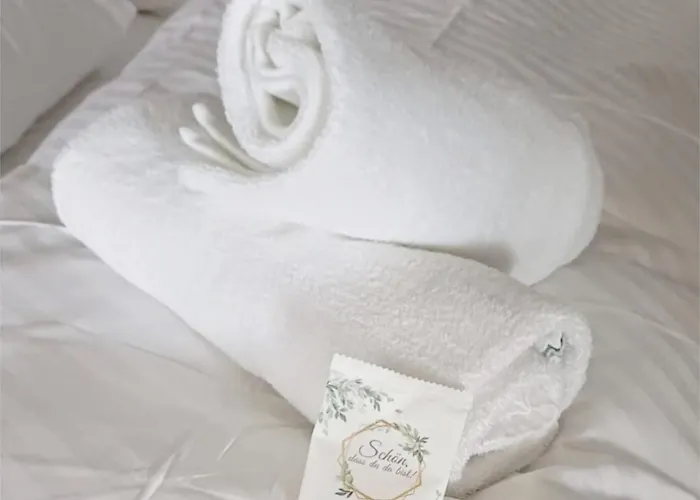 アパート Modern Elegance In Historical Center トリーア